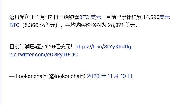 币圈震荡中的生存指南：当主流币停滞时如何把握机会