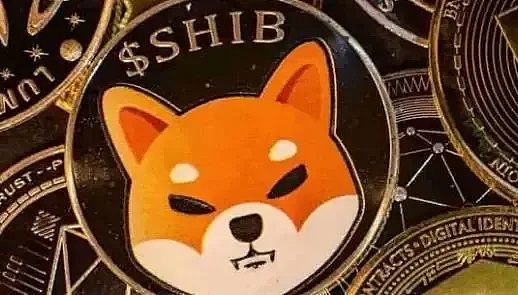 加密货币市场惊魂记：大跌之后的机会在哪里？
