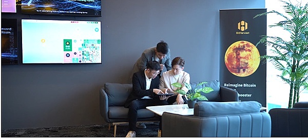 柴犬币上演火与冰：鲸鱼豪掷1亿美元引发市场震荡